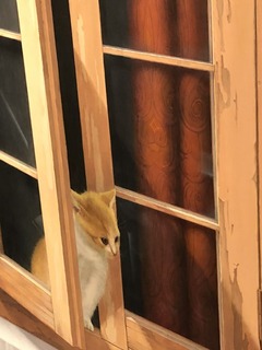 A0D70404-1046-4B9E-9AD2-A3859C1D0753