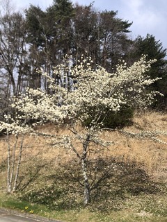 5BD40F99-AF8C-4D1B-8751-5635392D888D