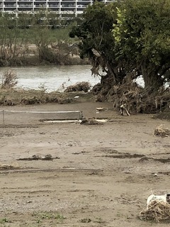 0244E924-74DA-4137-9EEF-AFF482C9EBD6