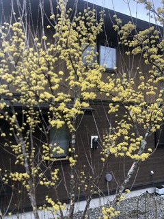 A09D6F9E-6109-407A-933F-A81065C167EE