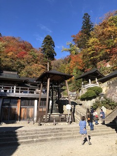 E5F9B794-50FD-45D9-82F8-DCE485995BC8