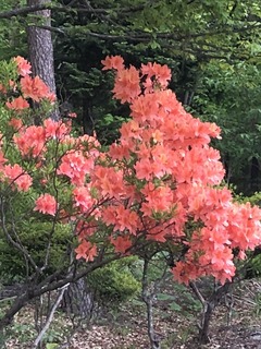 57D282F0-08E8-4B0B-AFA6-E69EA1E89797