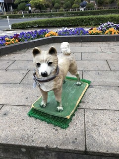 AF5A4354-6698-42B0-BAE2-F6CB05BE5CCB