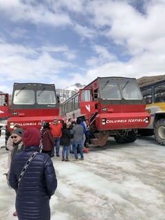 F3C15ACE-0332-4A1A-8D24-94FF849F9CED