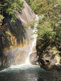 E2FC1B81-7527-41A6-8554-CCCA248F116E