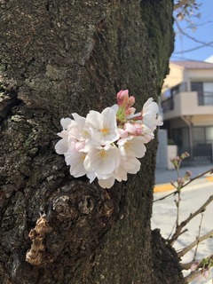 13C28A78-7C19-43E5-AD76-B0450A601752