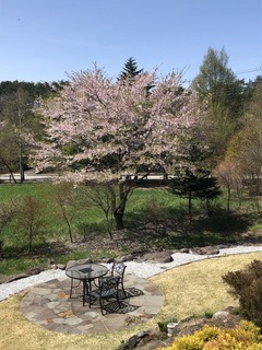 7E783DC8-051E-4394-907E-7AB2D3AD0232