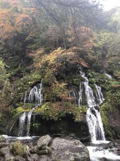 4AB67F30-1A11-444E-BECE-F4C537845866