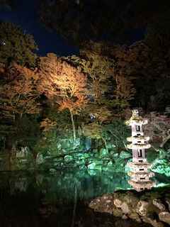 9B53CAC5-0F5B-400B-8E7D-6BCAA2D957A6