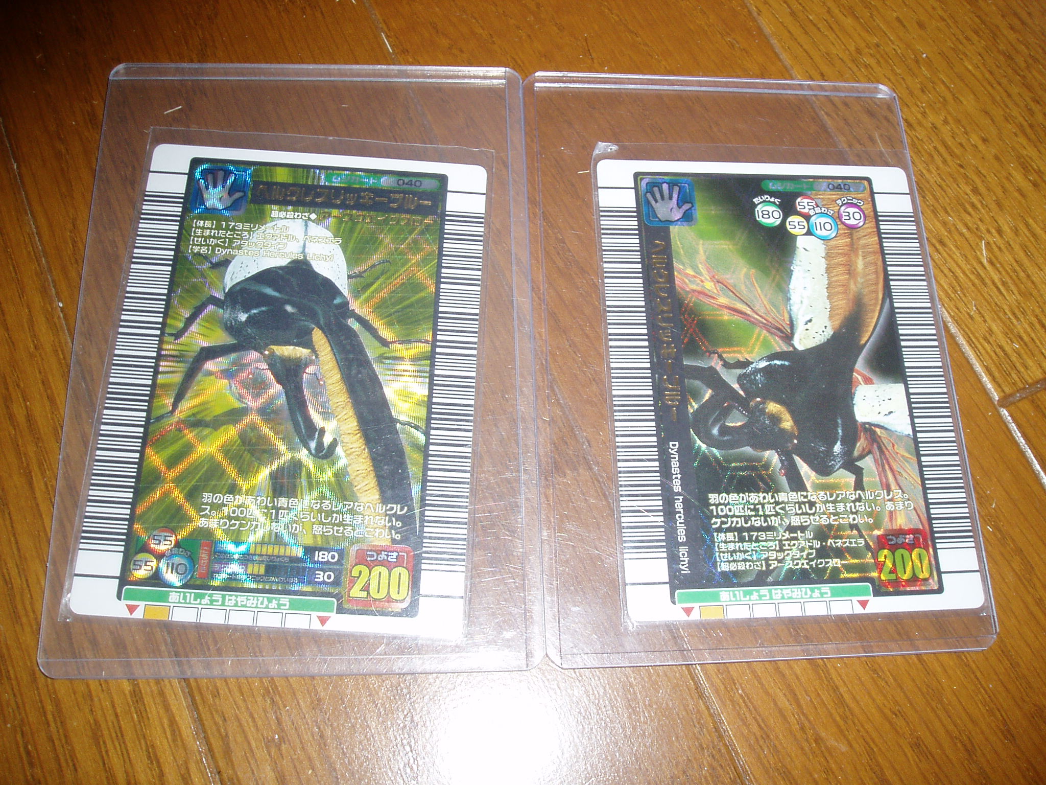 ムシキング探検隊 甲虫王者ムシキング カード攻略