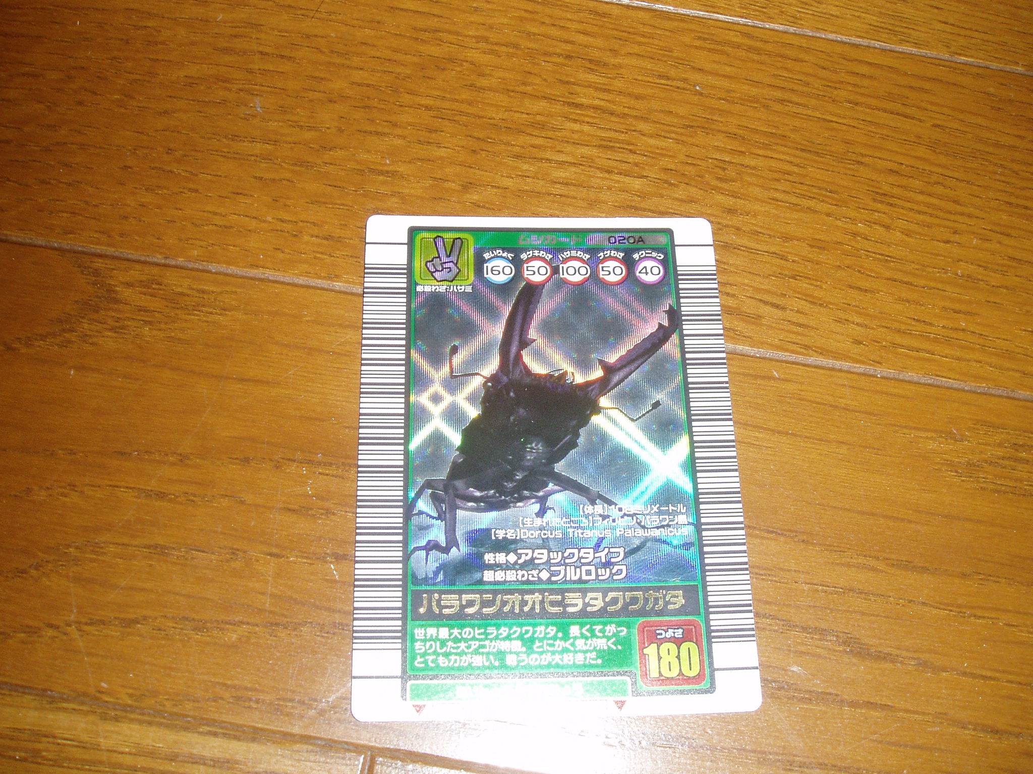 えっ 消えたパラワンオオヒラタクワガタが ムシキング探検隊 甲虫王者ムシキング カード攻略