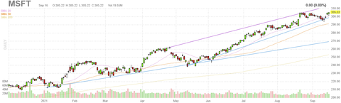 msft-char