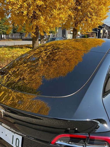 LINE_ALBUM_20231204_231204_37