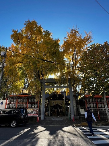 LINE_ALBUM_20231204_231204_18