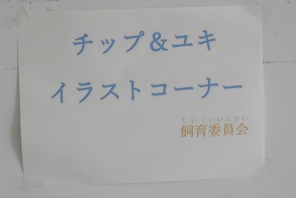かわいい仲間です 飼育委員会 可知小学校今日の出来事