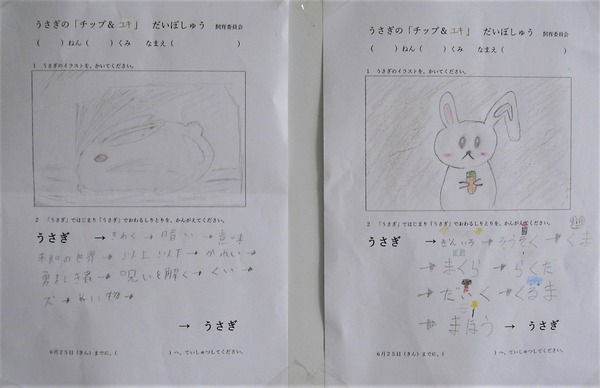 かわいい仲間です 飼育委員会 可知小学校今日の出来事 かわいい仲間です 飼育委員会 可知小学校今日の出来事