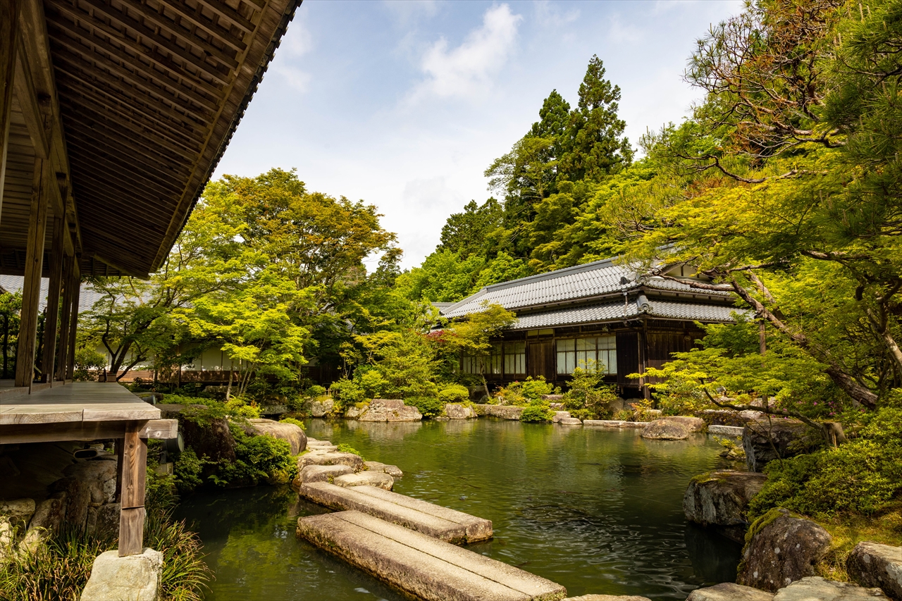新緑巡り 百済寺 教林坊 鏡と光と闇の中で