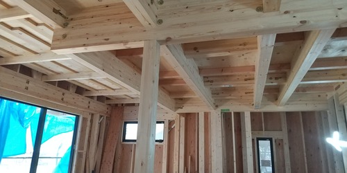 HORIZON_0001_BURST20230524135748902_COVER