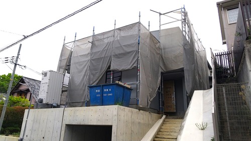 IMG_0001_BURST00120240422142853_COVER