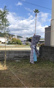 441B1A6F-E711-4955-8A5B-8D0F36364DCAr