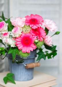 th_順光・花