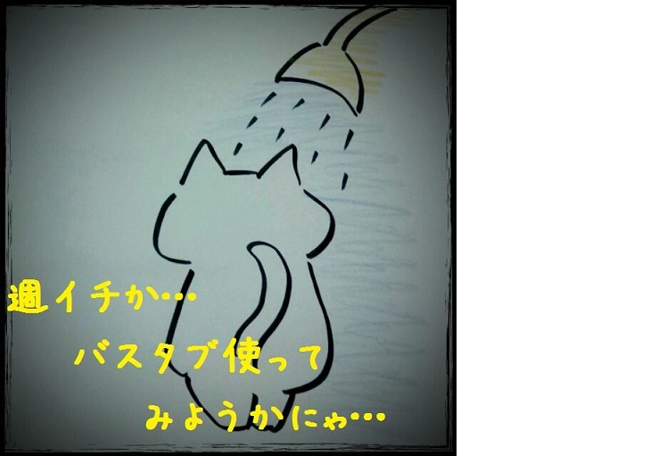 バスタブ使う?