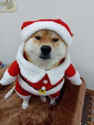 5eb9f525517ec9e5a3b04dd06d3f25dc-IMG_20251224_100347