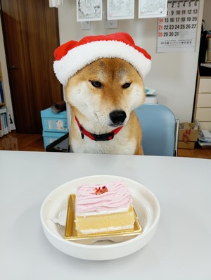 a5e23a62246a56eb2bc48fe66196faa5-IMG_20251224_100631