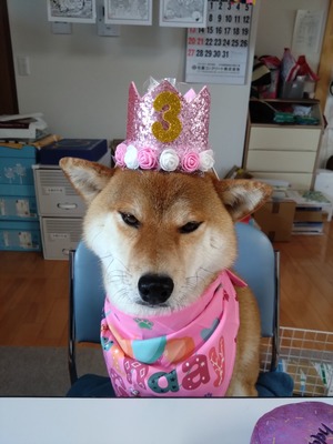 1000015801