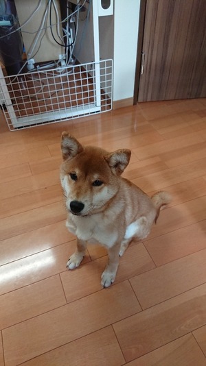 DSCPDC_0003_BURST20221202112