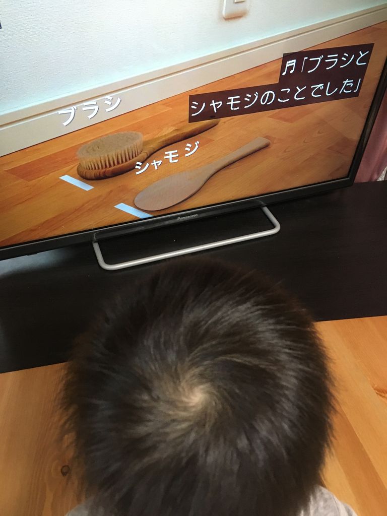 パタトクカシーで猫になる次男 赤ちゃんの気持ちになってみよう パタトクカシーで猫になる次男 赤ちゃんの気持ちになってみよう