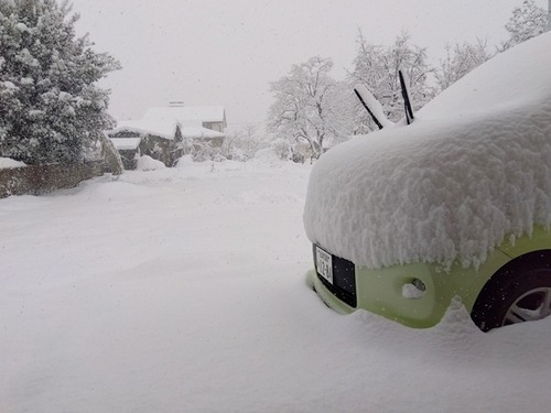 IMG_2026-01-24-09-01-38-704