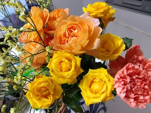 IMG_2025-12-20-11-13-42-296