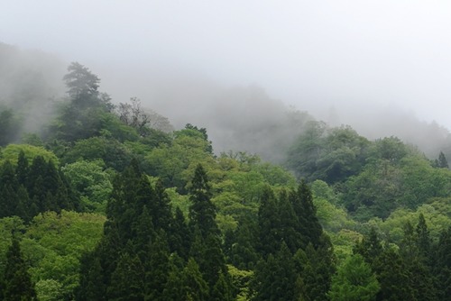 DSC_2653_1080s