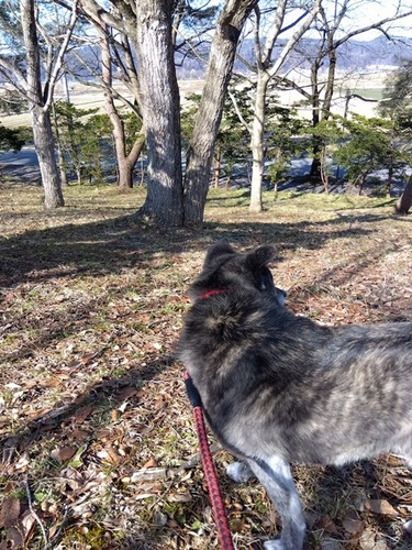 IMG_2026-02-22-09-13-55-825s