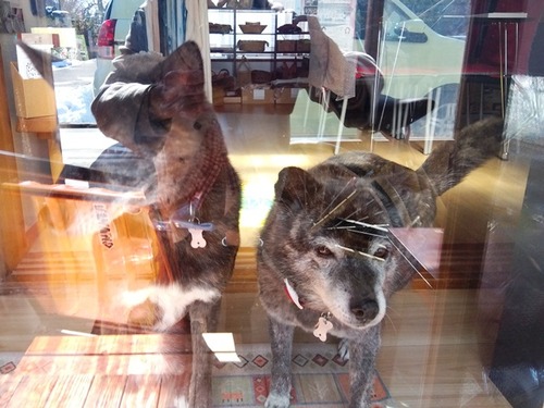 IMG_2026-02-10-12-29-08-597s