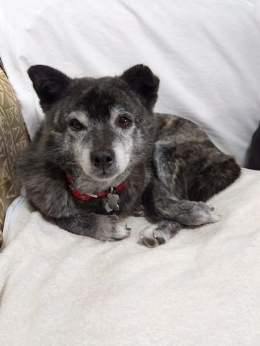 IMG_2026-02-15-15-09-09-002s