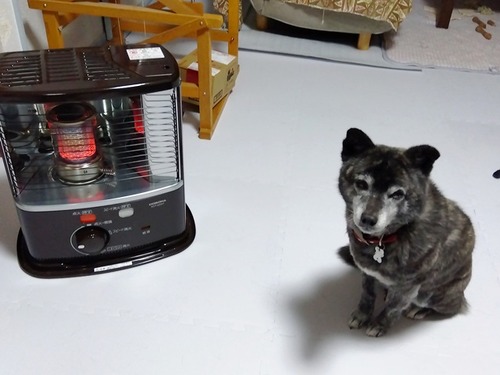 IMG_2026-02-19-19-44-12-586s