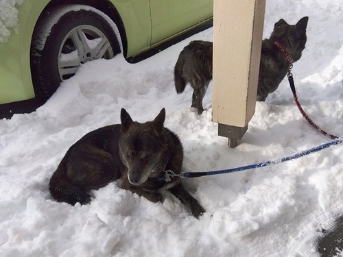 IMG_2026-02-09-09-27-23-314s