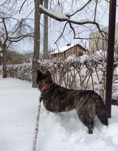 IMG_2026-02-09-09-07-04-697s