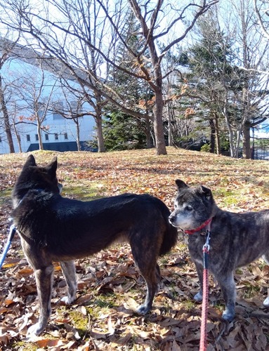 IMG_2026-02-22-09-18-24-130s