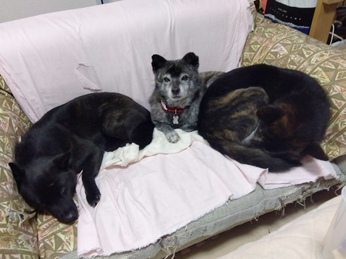 IMG_2026-02-06-07-58-23-424S