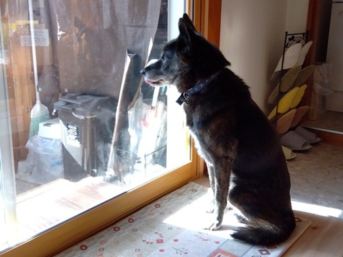 IMG_2025-11-17-10-36-43-341s