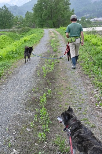 DSC_2643_1087s