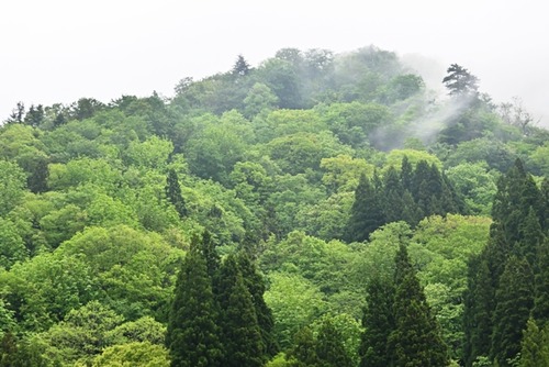 DSC_2658_1079s