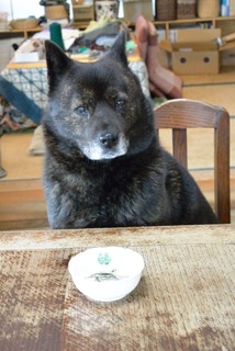 DSC_3291_20160311_1142