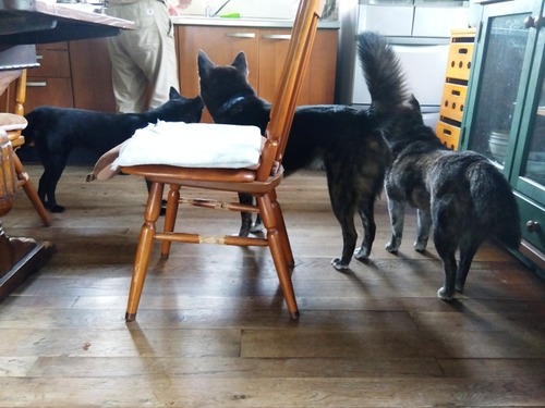 IMG_2025-06-26-08-14-55-667s