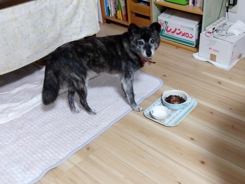 IMG_2025-10-12-09-48-25-764s