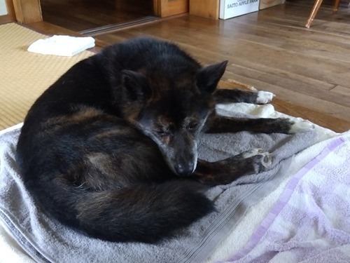 IMG_2025-06-26-08-56-11-170s