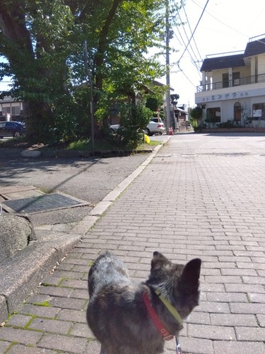 IMG_2025-10-17-12-38-24-595s